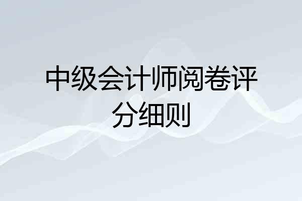 中级会计师阅卷评分细则