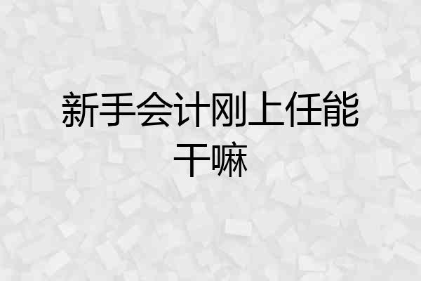 新手会计刚上任能干嘛