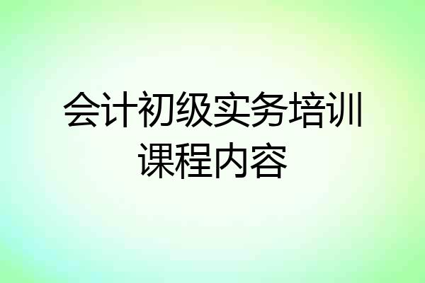 会计初级实务培训课程内容