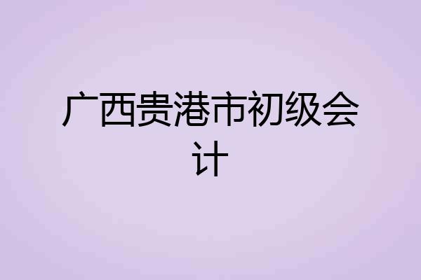 广西贵港市初级会计
