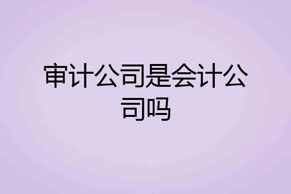 审计公司是会计公司吗