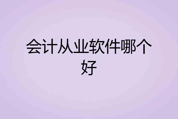 会计从业软件哪个好