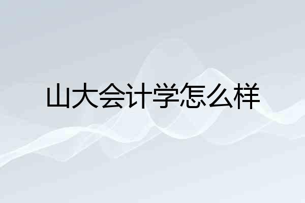 山大会计学怎么样