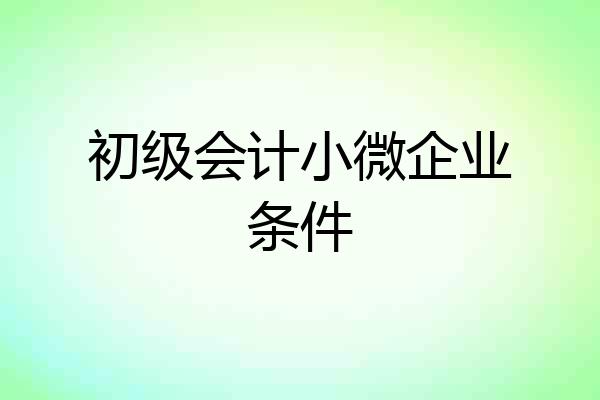 初级会计小微企业条件