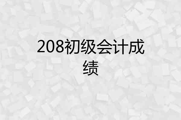 208初级会计成绩