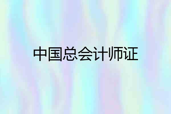 中国总会计师证