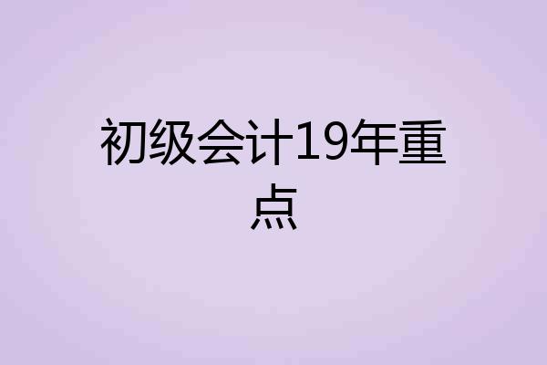 初级会计19年重点