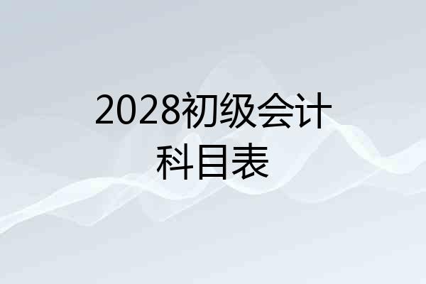 2028初级会计科目表