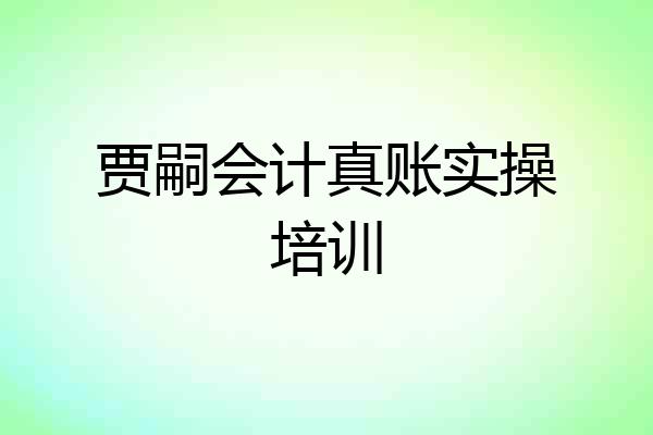 贾嗣会计真账实操培训