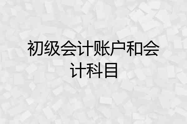 初级会计账户和会计科目