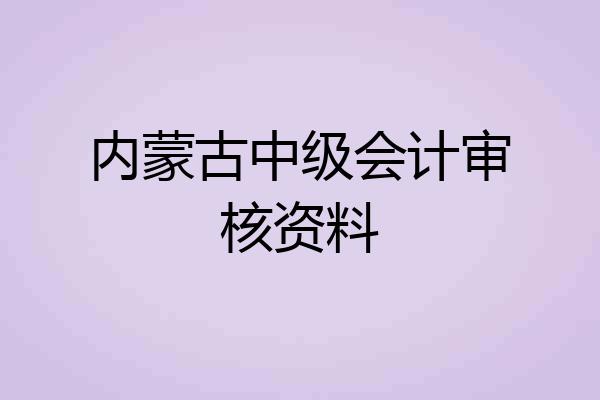 内蒙古中级会计审核资料