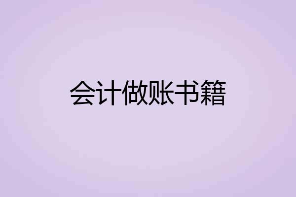 会计做账书籍