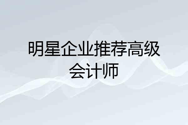 明星企业推荐高级会计师