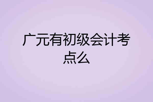 广元有初级会计考点么