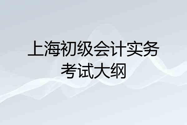 上海初级会计实务考试大纲