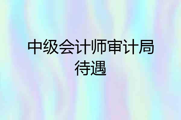 中级会计师审计局待遇