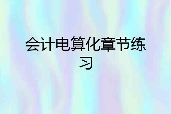 会计电算化章节练习
