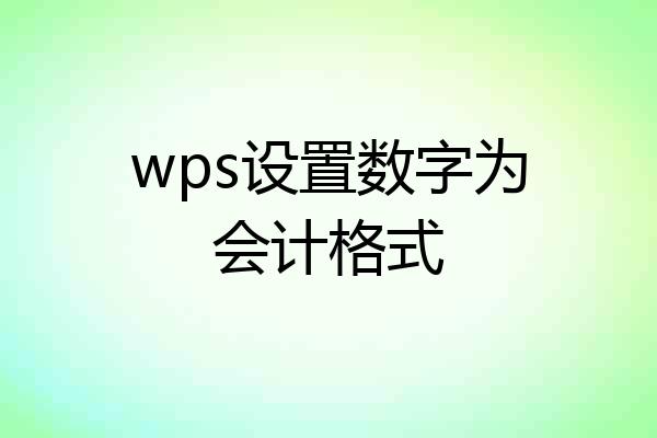 wps设置数字为会计格式