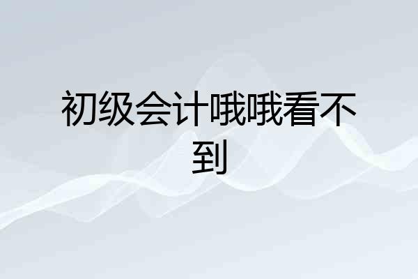 初级会计哦哦看不到