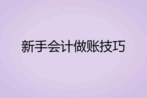 新手会计做账技巧