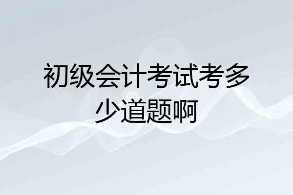 初级会计考试考多少道题啊