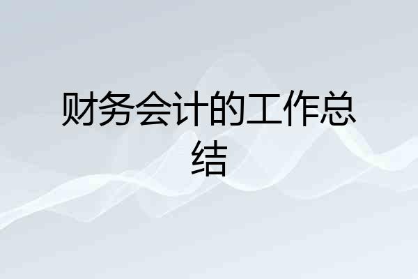 财务会计的工作总结
