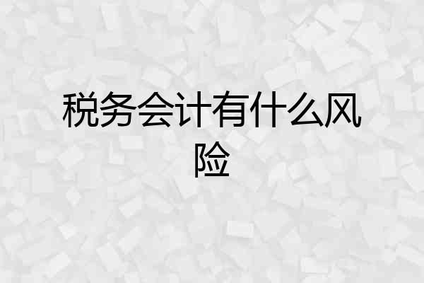 税务会计有什么风险