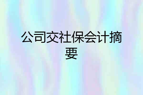 公司交社保会计摘要