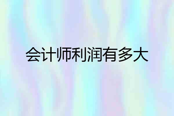 会计师利润有多大