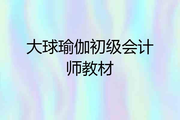 大球瑜伽初级会计师教材