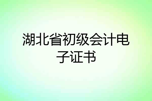 湖北省初级会计电子证书
