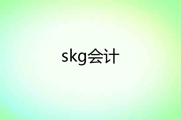 skg会计