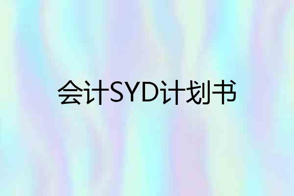 会计SYD计划书