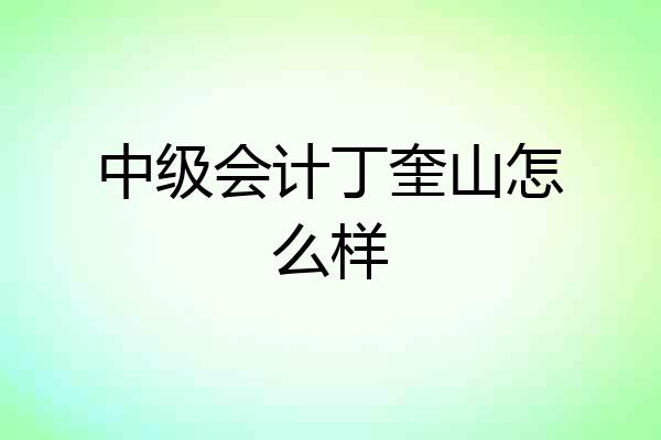 中级会计丁奎山怎么样