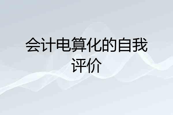 会计电算化的自我评价