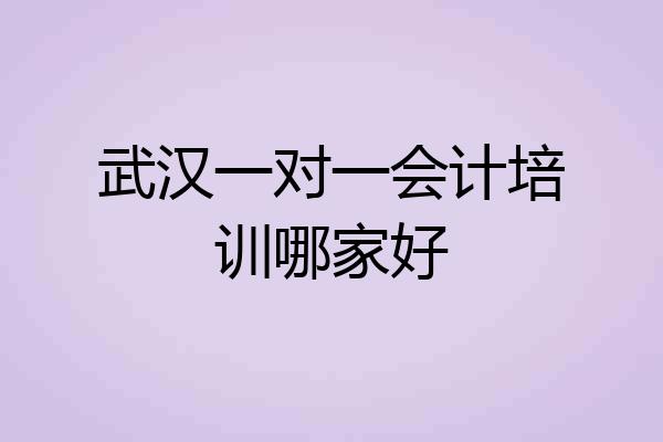武汉一对一会计培训哪家好