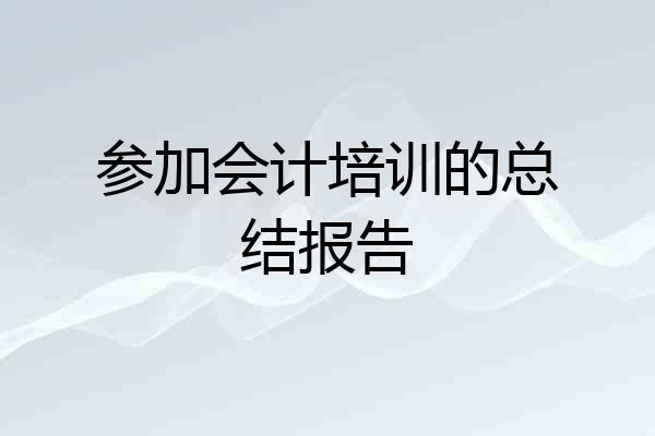 参加会计培训的总结报告