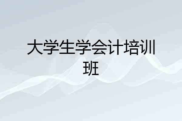 大学生学会计培训班