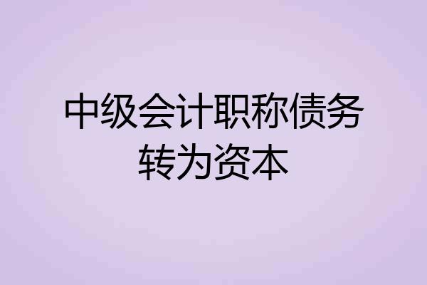中级会计职称债务转为资本