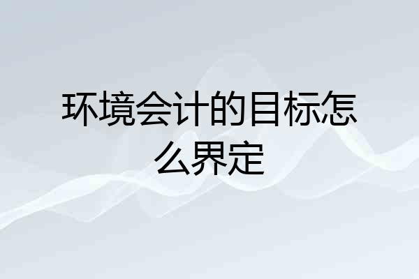 环境会计的目标怎么界定