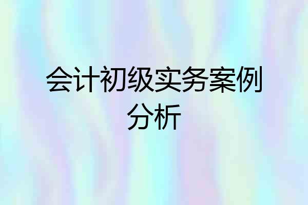 会计初级实务案例分析