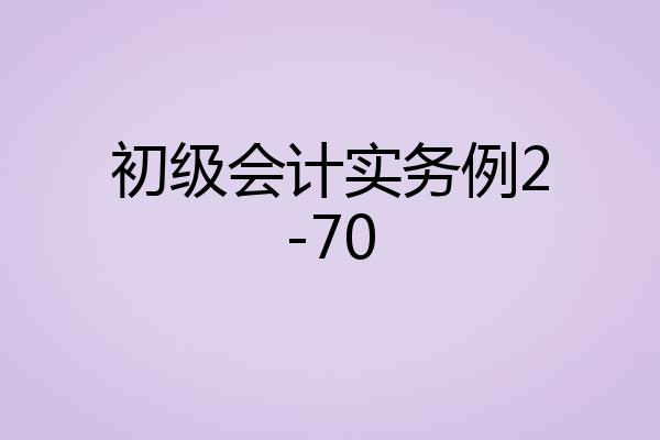 初级会计实务例2-70