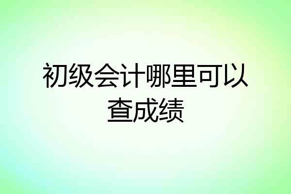 初级会计哪里可以查成绩