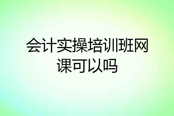 会计实操培训班网课可以吗