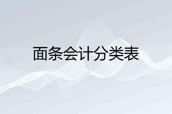 面条会计分类表