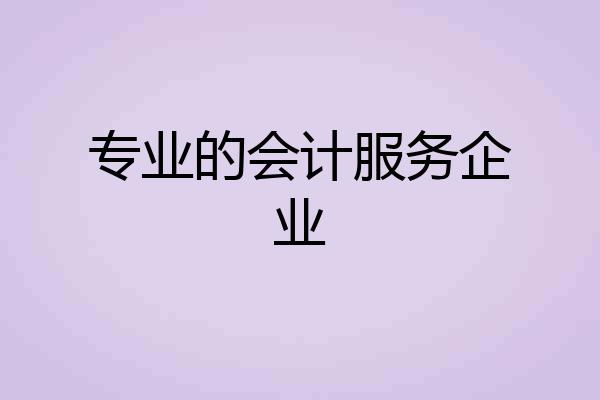 专业的会计服务企业