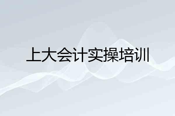 上大会计实操培训