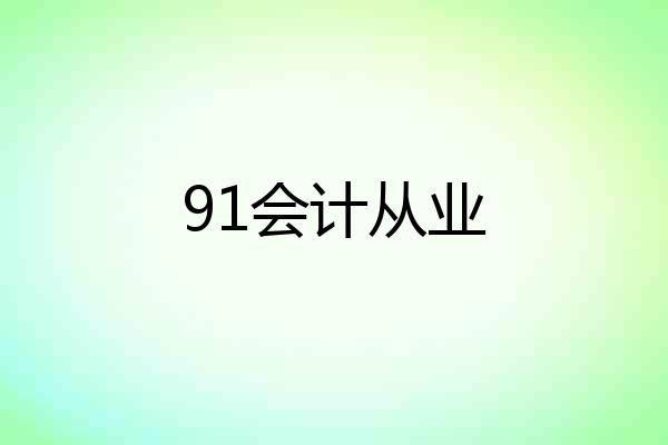 91会计从业