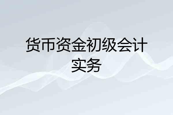 货币资金初级会计实务