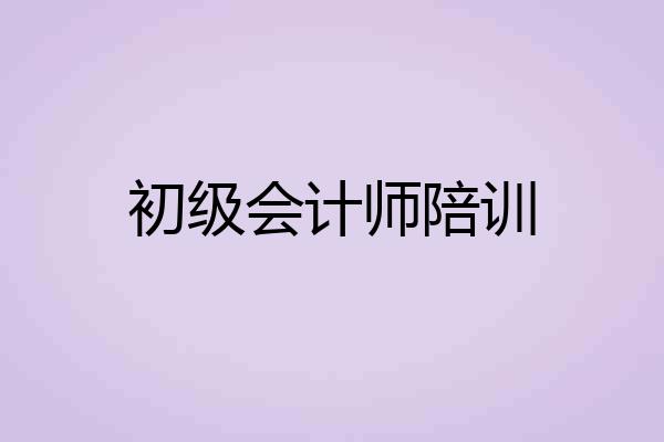 初级会计师陪训
